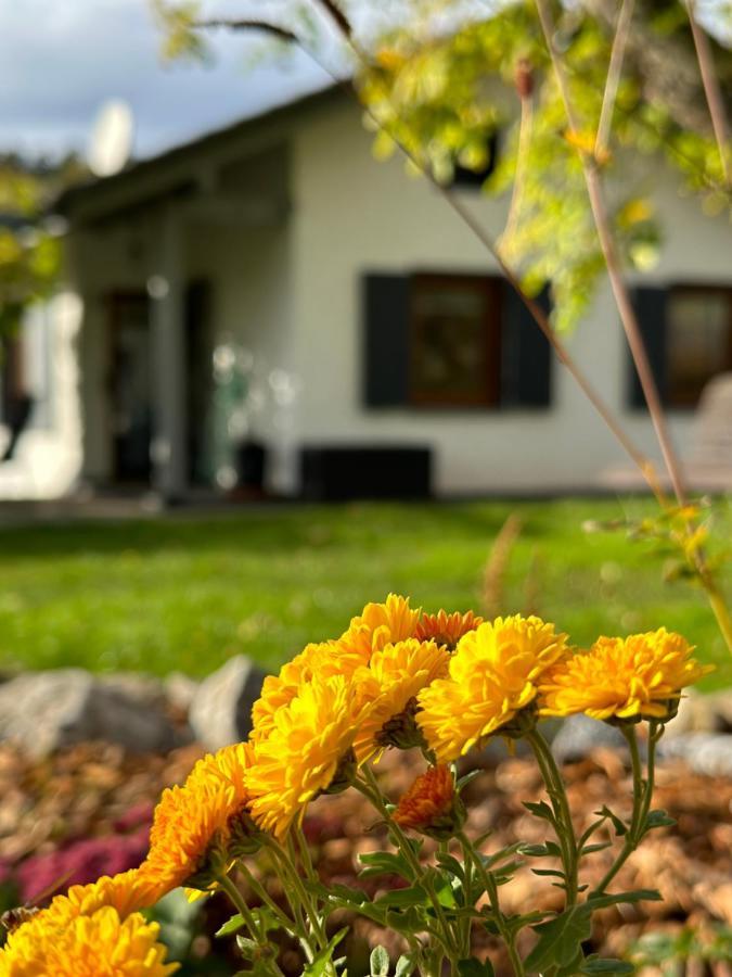 Ferienhaus Ella Trautskirchen エクステリア 写真